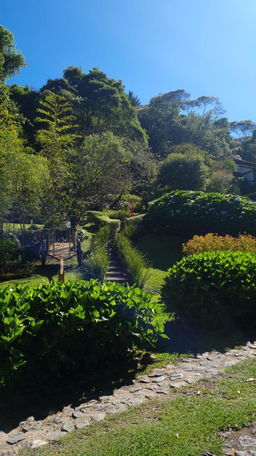 Da Mata Cunha